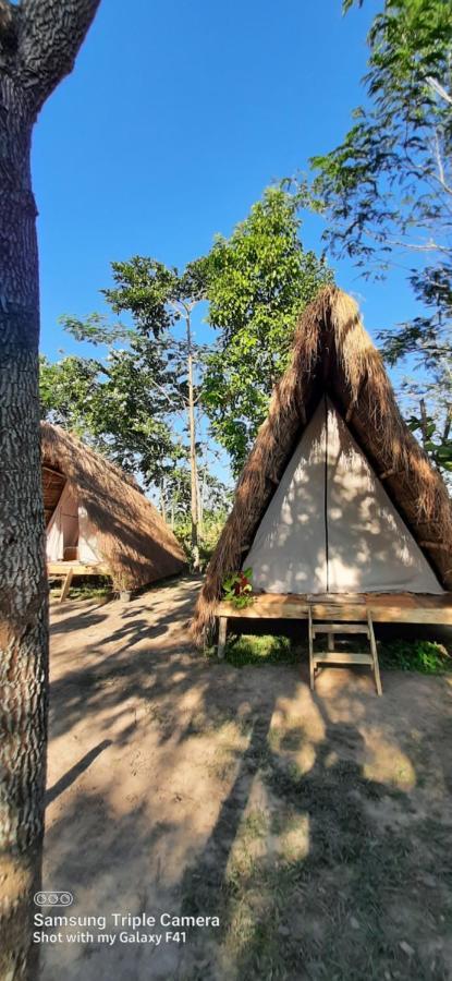 Отель Tiger'S Wood Glamping & Eco-Retreat Казиранга Экстерьер фото