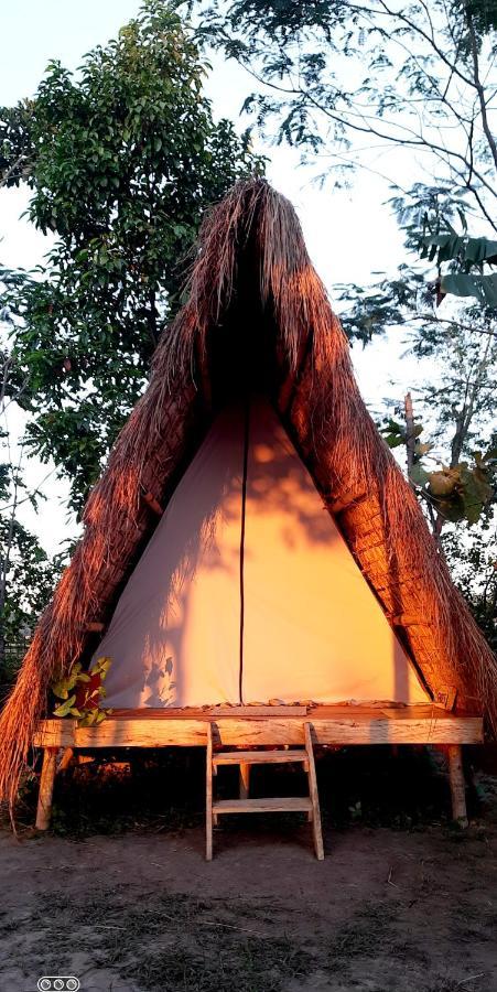 Отель Tiger'S Wood Glamping & Eco-Retreat Казиранга Экстерьер фото